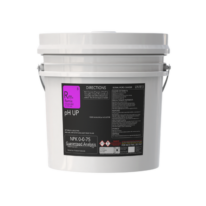 pH Up Solid